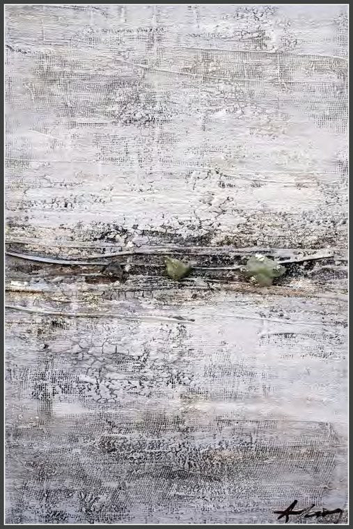 Earth Neutral 006